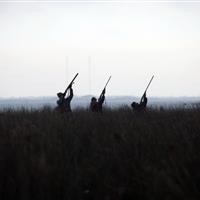 دستگیری شکارچیان غیرمجاز در طالقان