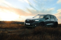 عملکرد سیستم اتو پارک در هاوال H6