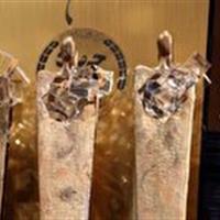 معرفی دو دانشجوی یزدی به عنوان دانشجوی فداکار