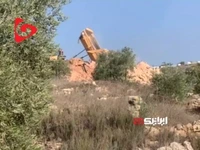 وقتی اشغالگران درخت را دشمن میبینند