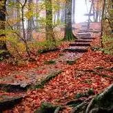 پاییز زیبای نمک آبرود