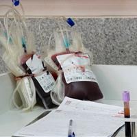 نیاز یزد به گروههای خونی پرمصرف