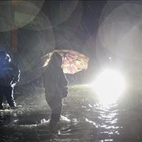 طوفان در شمال شرق استرالیا؛ برق هزاران مشترک قطع شد