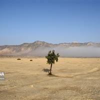 تغییر اقلیم یک مساله فانتزی نیست/ عدم حضور در اجلاس تغییر اقلیم خودتحریمی است