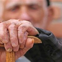 برگزاری همایش ارتقای سواد سلامت سالمندان