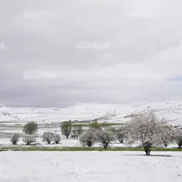 بارش نخستین برف پاییزی بر «گرین کوه» لرستان