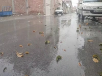 بارش باران در پیرانشهر