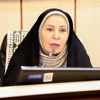 عضو شورای شهر: استفاده درست از ظرفیت بافت تاریخی یزد میتواند الگوی ملی باشد