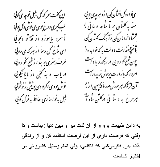 تفال/ می خواه و گلافشان کن از دهر چه میجویی