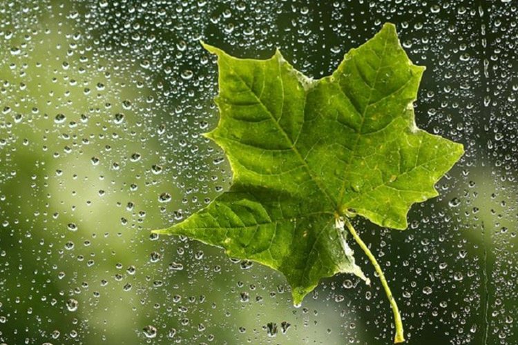 بارش نخستین باران پاییزی در خرمشهر