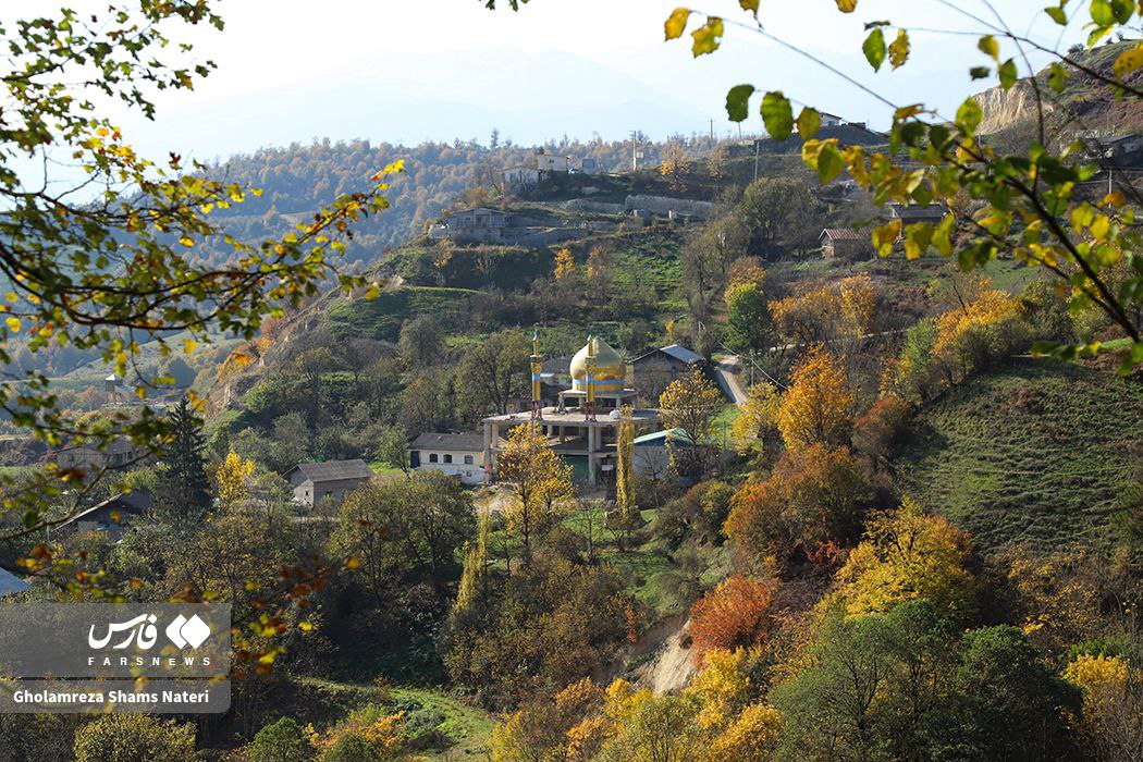 رخت پاییز بر تن جنگل‌های کلاردشت