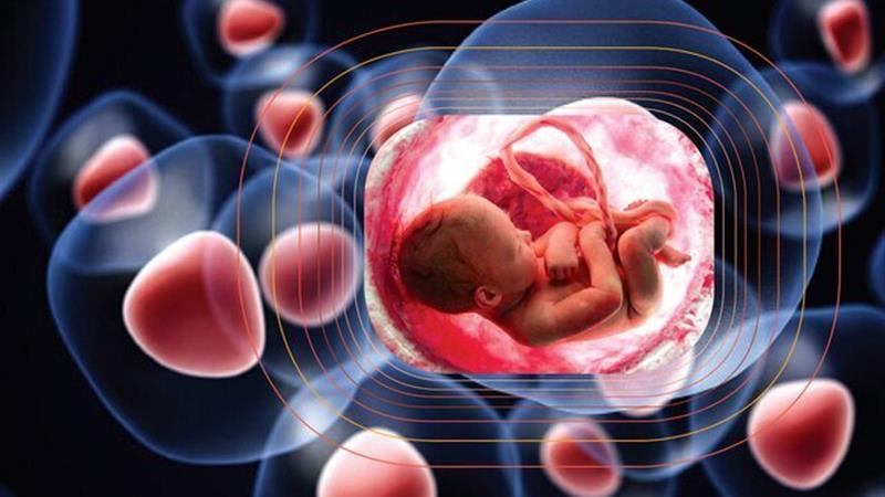 یک قطره زندگی، میلیونها فرصت؛ اهمیت خون بندناف در سلامت جامعه و آینده پزشکی