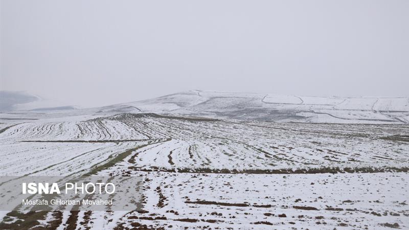 پیشبینی افزایش ناپایداری و احتمال بارش برف در زنجان