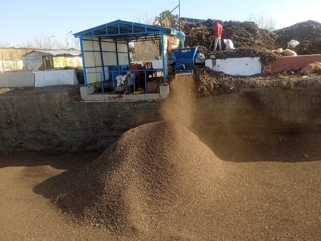 تبدیل ۳۶۵۰ تن ضایعات فضای سبز به کود آلی در مشهد