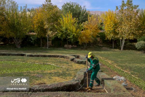 جلوه‌ای از پاییز باغ گل‌های شیراز