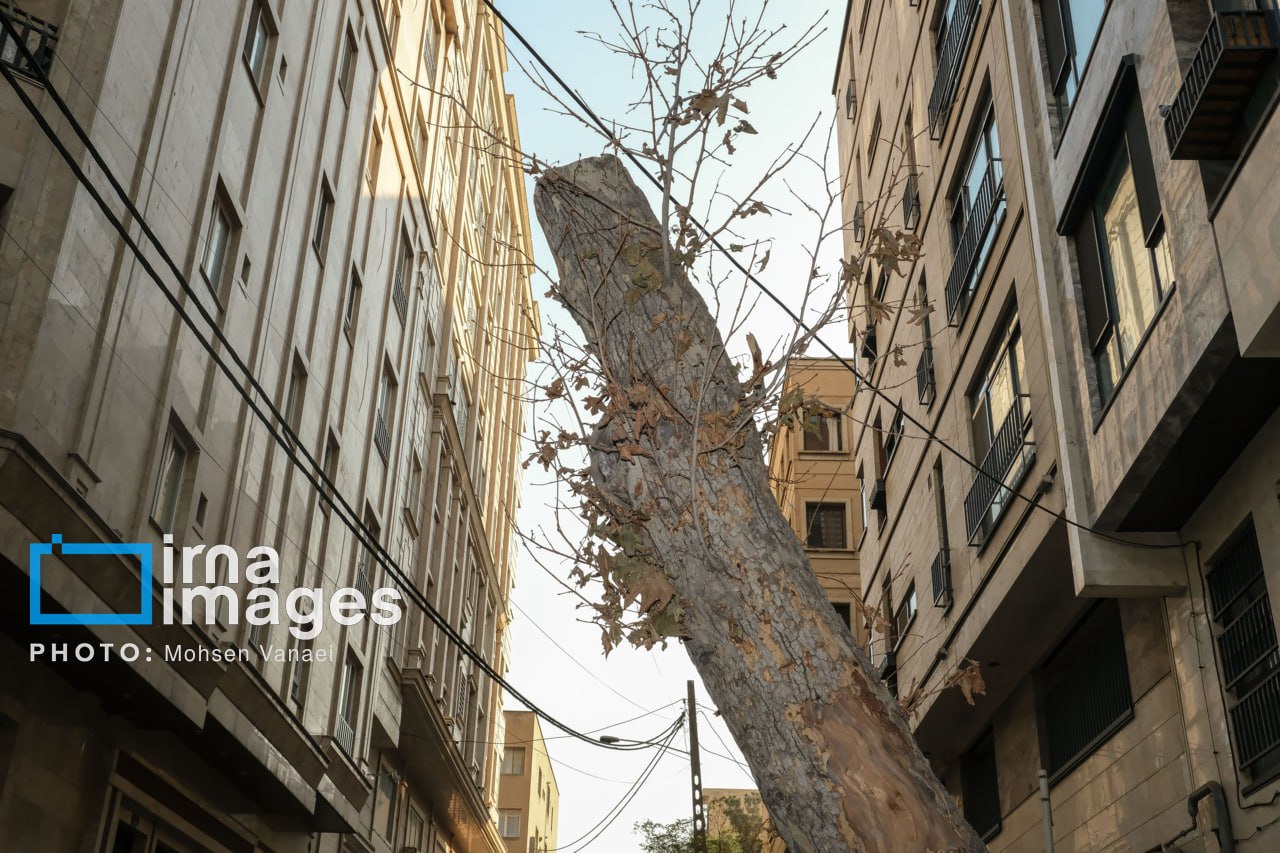 پاییز بیرنگ پایتخت