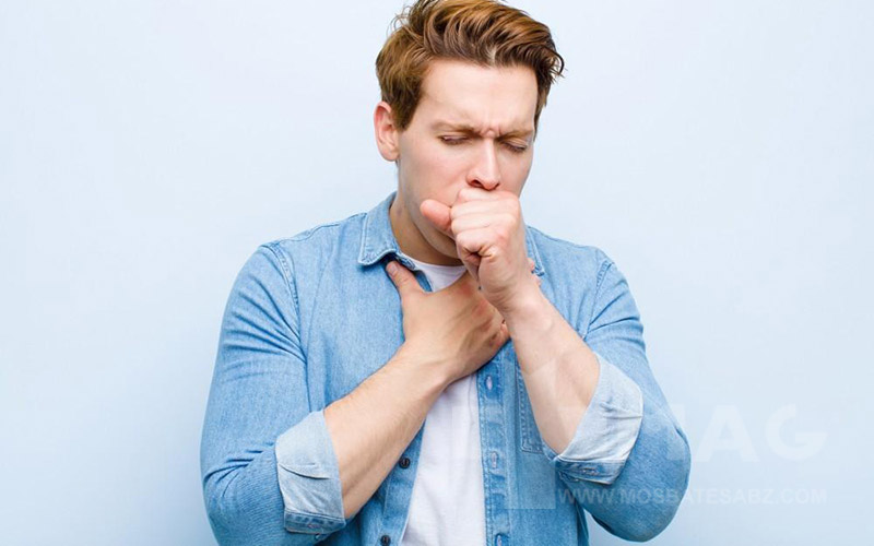 دسته بندی سرفههای مختلف و دلایل آن