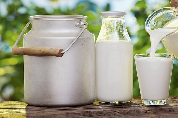 شیر در زاهدان گران شد؛ دود اختلاف جهادکشاورزی و دامدار به چشم مردم رفت