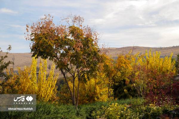 جلوه‌ای از پاییز باغ گل‌های شیراز