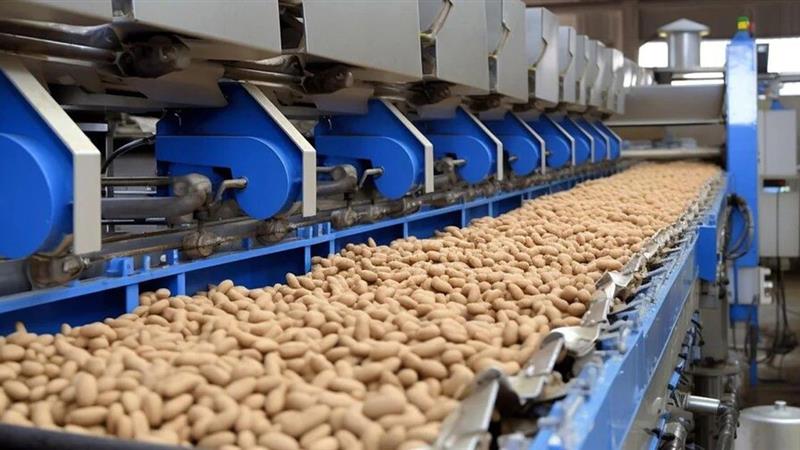 تولد یک برند؛ وقتی پشتکار زنانه چرخ اقتصاد را به حرکت درمیآورد