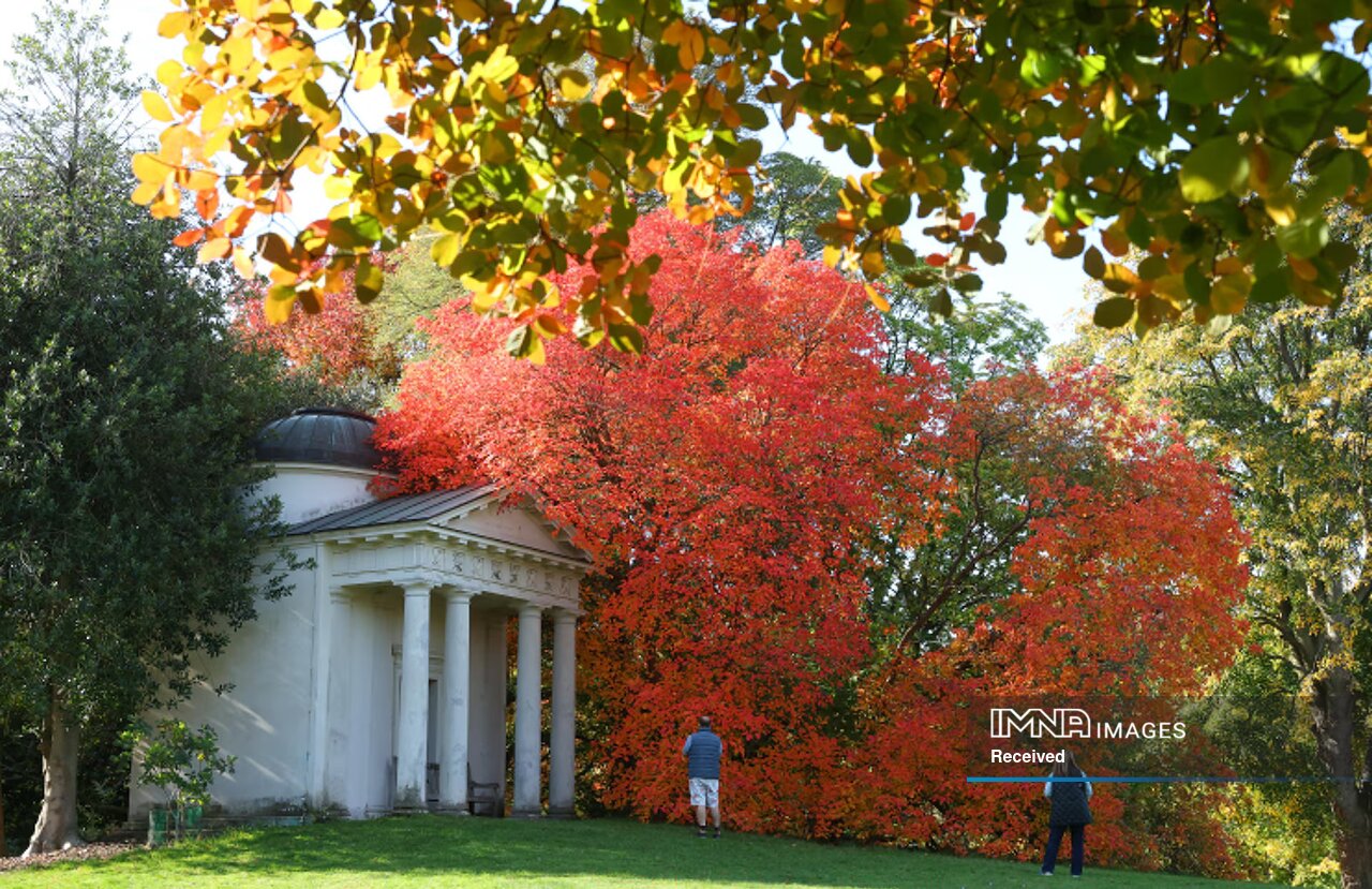 مناظر پاییزی از سراسر جهان