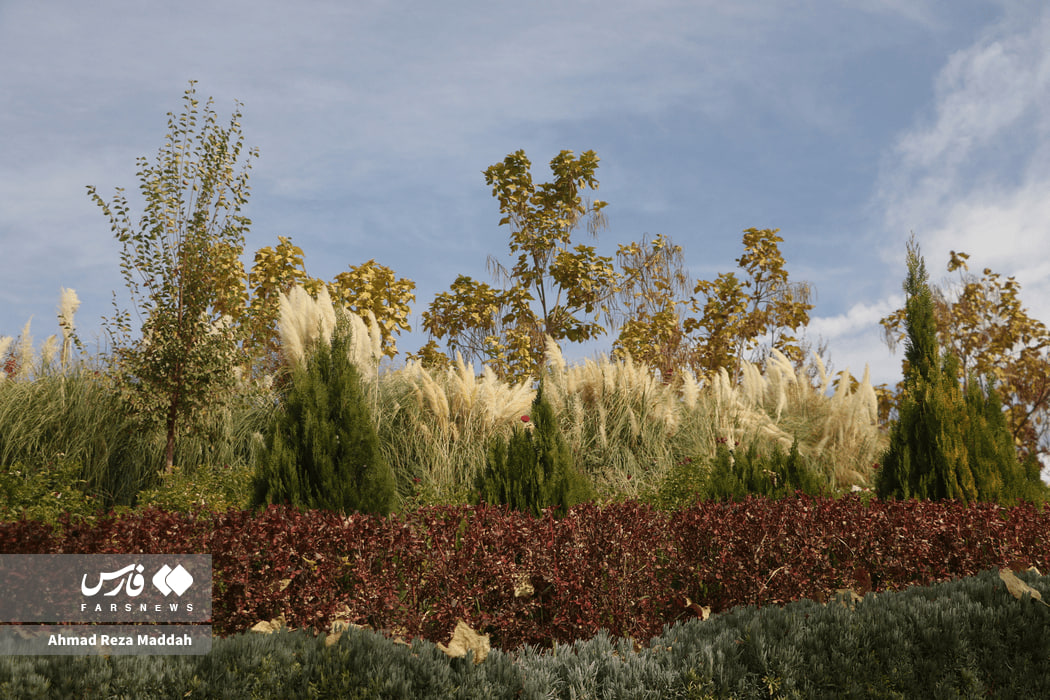 جلوه‌ای از پاییز باغ گلهای شیراز