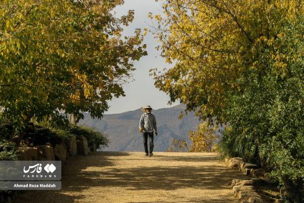 جلوه‌ای از پاییز باغ گل‌های شیراز