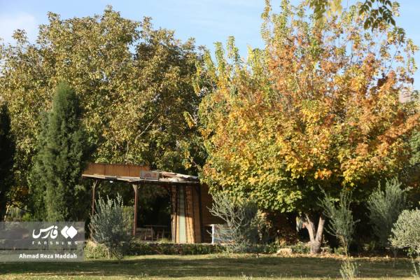 جلوه‌ای از پاییز باغ گل‌های شیراز