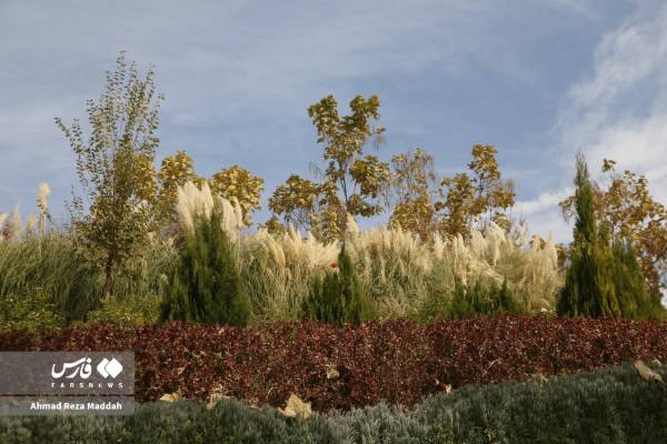 جلوه‌ای از پاییز باغ گل‌های شیراز