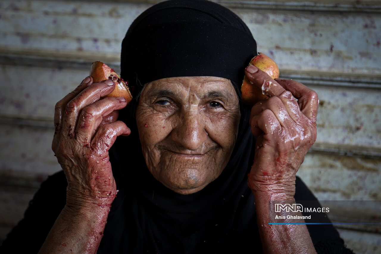 برداشت یاقوت سرخ در قلعه تل