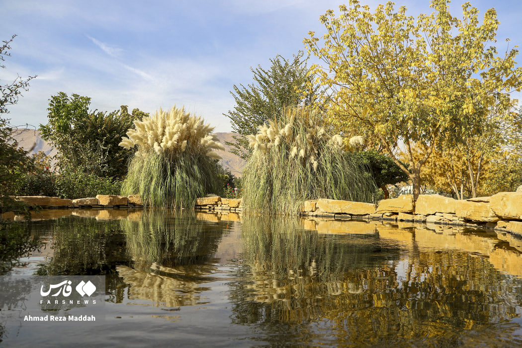 جلوه‌ای از پاییز باغ گلهای شیراز