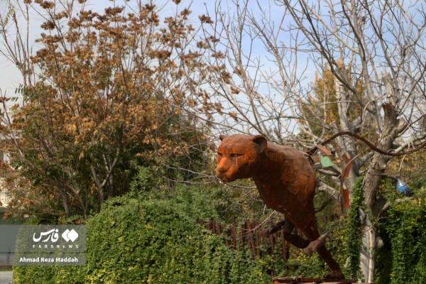 جلوه‌ای از پاییز باغ گل‌های شیراز