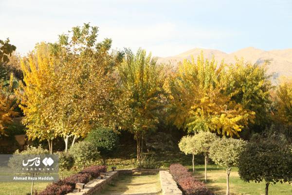 جلوه‌ای از پاییز باغ گل‌های شیراز