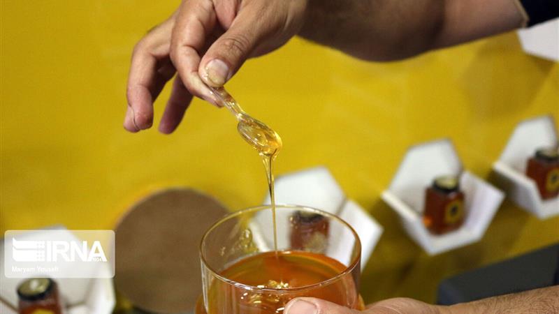 پیشگامی پژوهشگران بیرجندی در تکمیل شاخصهای کیفیت عسل