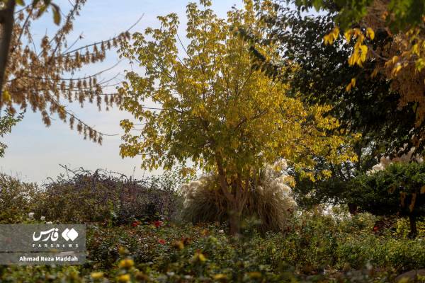 جلوه‌ای از پاییز باغ گل‌های شیراز