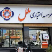 معاون نظارت بانک مرکزی: ناترازی نقدینگی موسسه ملل حدود ۴۵ همت است