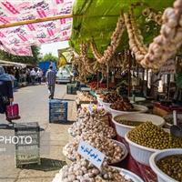 رئیس سازمان جهاد کشاورزی البرز: روستا-بازارها باعث کاهش قیمت محصولات کشاورزی میشود
