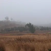 گردوغبار دید افقی را در قصر شیرین کاهش داد