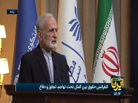 رئیس شورای روابط راهبردی: سازمان ملل ارزش های خود را از دست داده است