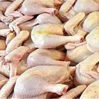 کشف بیش از ۴۰۰ کیلو گرم ران مرغ فاسد در سلماس