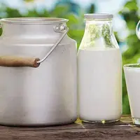 شیر در زاهدان گران شد؛ دود اختلاف جهادکشاورزی و دامدار به چشم مردم رفت