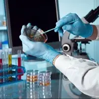 نام ۲۷۷۲ پژوهشگر ایرانی در میان دو درصد برترینهای جهان در سال ۲۰۲۵