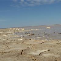 هیرمند؛ گرد و خاک «بدعهدی افغان ها» در جنوب شرق ایران