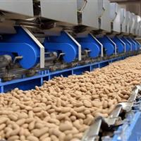 تولد یک برند؛ وقتی پشتکار زنانه چرخ اقتصاد را به حرکت درمیآورد