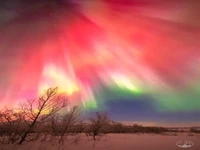 طبیعت در نمایش تازهاش می درخشد!