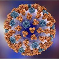 موج شیوع آنفلوآنزا در انگلیس و آمادهباش بیمارستانها