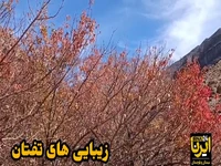 پاییز تفتان، تجلی رنگها و آرامش در دامنه کوهستان