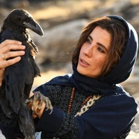 ۴ فیلم آماده نمایش و یک فیلم در پیشتولید؛ اکران «خاتی» در اولویت است