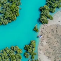 بزرگترین پوشش حرای جهان