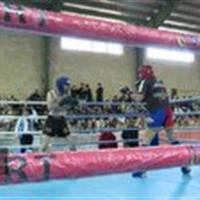 معرفی برترین جوجیستو کاران قمی